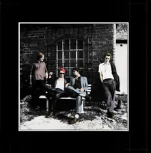 PALMA VIOLETS - DANGER IN THE CLUB (CD)