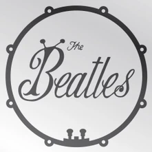 Magnetka Bug Logo & Drum