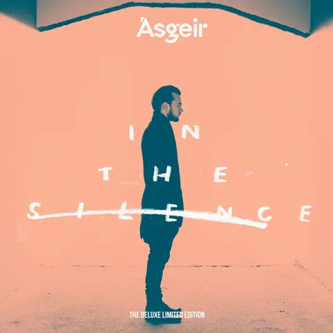 IN THE SILENCE