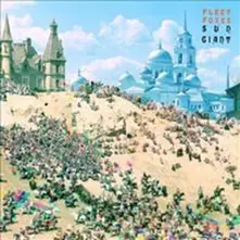Fleet Foxes – SUN GIANT (CD)