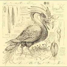 ACCIDENTAL ORNITHOLOGY thumbnail