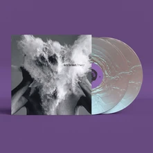 The Afghan Whigs, Vinyl DO TO THE BEAST