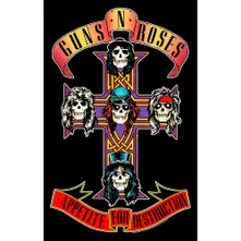 Appetite For Destruction thumbnail