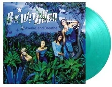 B*Witched, Vinyl AWAKE AND BREATHE