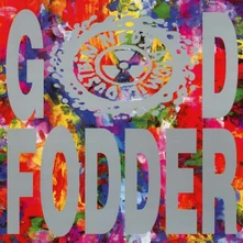 Ned's Atomic Dustbin, Vinyl God Fodder