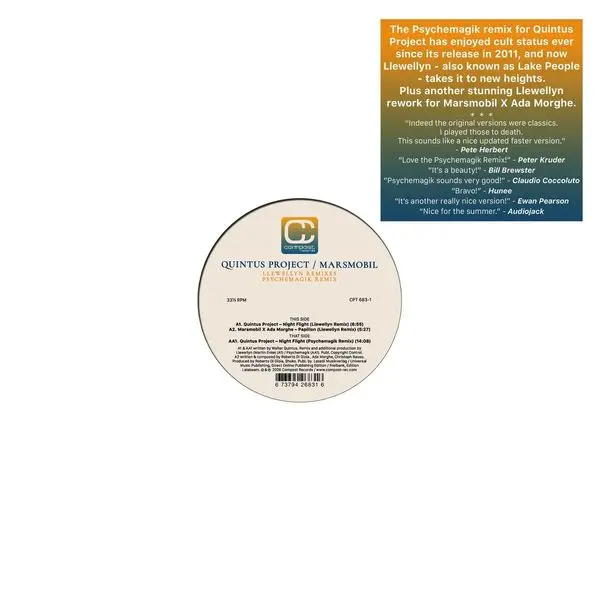 LLEWELLYN / PSYCHEMAGIK REMIXES (Vinyl)