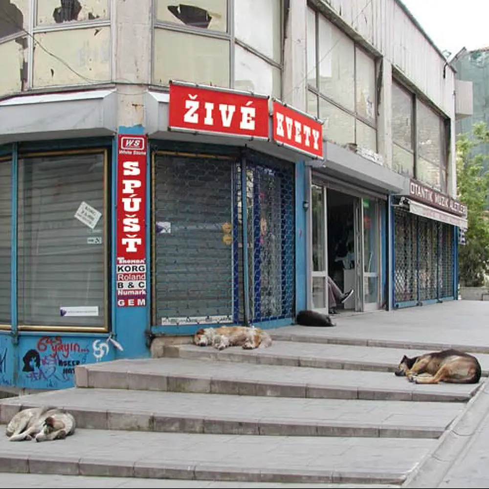 Živé Kvety – Spúšť (2021) (CD)