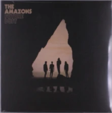 The Amazons, Vinyl FUTURE DUST