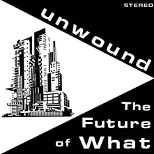 Vinyl UNWOUND - FUTURE OF WHAT