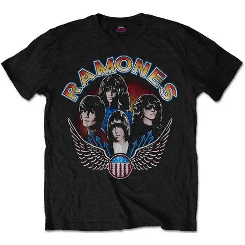 Vintage Wings Photo
