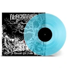 Vinyl A THOUSAND LITTLE DEATHS