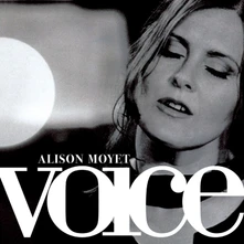 Vinyl VOICE
