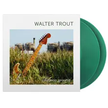 Vinyl Common Ground
