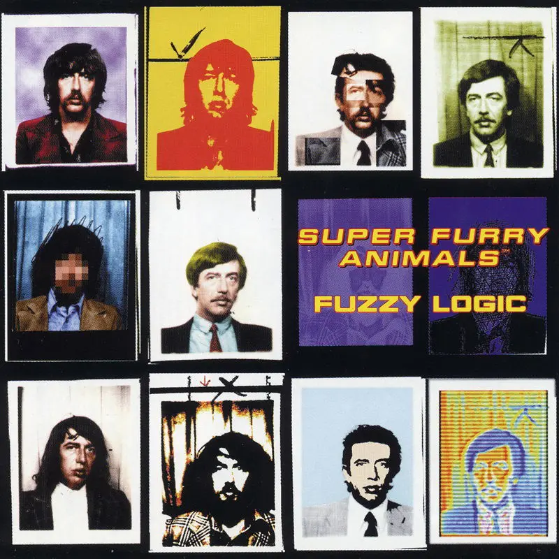 FUZZY LOGIC (20TH ANNIVERS