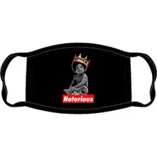 Notorious Baby