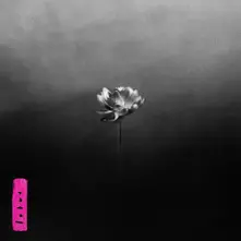 Lotus thumbnail
