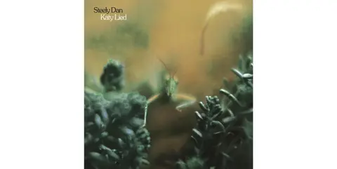KATY LIED