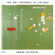 CD URBAN BUSHMEN