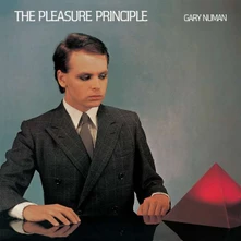 Vinyl PLEASURE PRINCIPLE