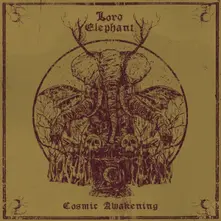 Lord Elephant, Vinyl COSMIC AWAKENING
