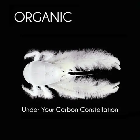 UNDER YOUR CARBON CONSTELLATION -180GR-