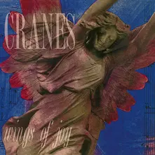 CD WINGS OF JOY