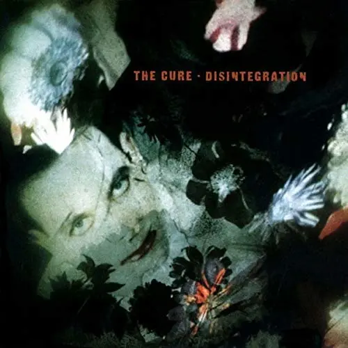 DISINTEGRATION