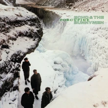 Echo & the Bunnymen, CD PORCUPINE