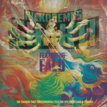 Nickodemus, Vinyl SHAKTI