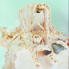 Pale Saints, CD IN RIBBONS