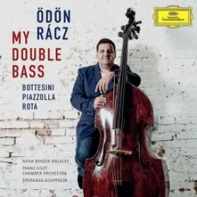 CD MY DOUBLE BASS