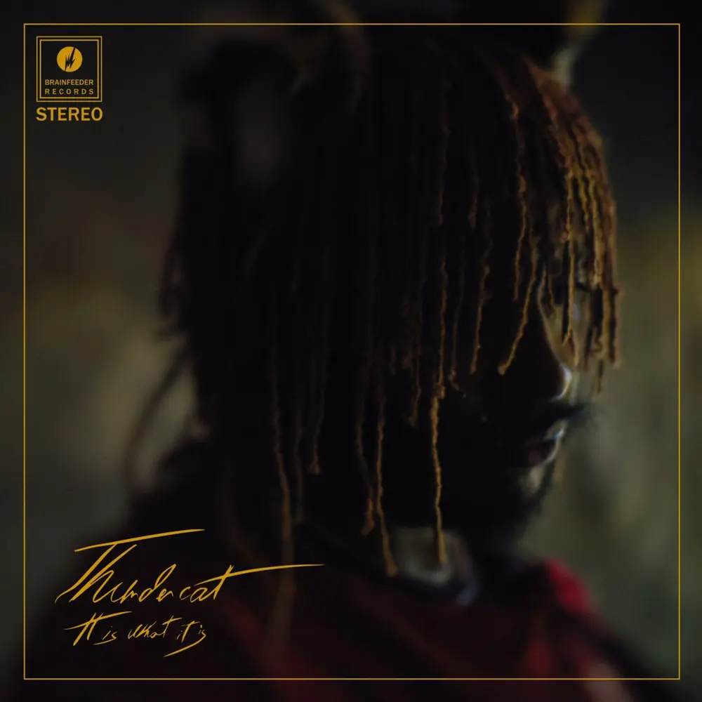 Thundercat - It is What It is