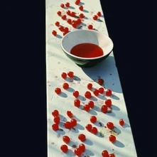 Vinyl MCCARTNEY