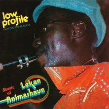 Vinyl LOW PROFILE (NOT FOR T...