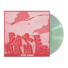 Fake Names, Vinyl PUNK RUINS