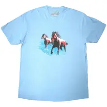 Horses thumbnail