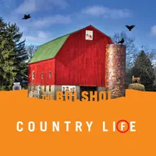 Country Life (Sun Orange / Grass Green Vinyl) thumbnail