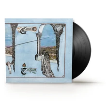 Vinyl TRESPASS