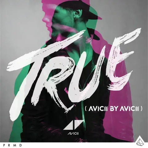 TRUE: AVICII BY AVICII