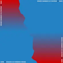 Vinyl CRACKS IN COMMON SENSE