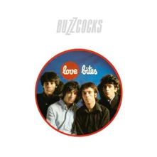 Buzzcocks, Vinyl LOVE BITES