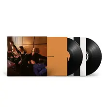 Giant Rooks, Vinyl HOW HAVE YOU BEEN?
