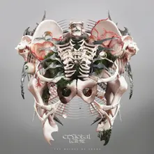 Crystal Lake, Vinyl The Weight of Sound