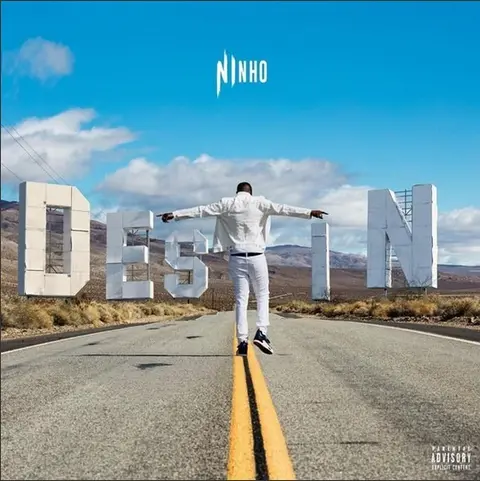 Ninho – Vinyl Destin