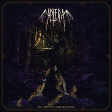 Aptera, Vinyl YOU CAN'T BURY WHAT STILL BURNS