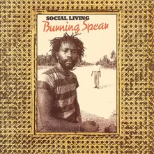 Vinyl SOCIAL LIVING / LIVING DUB