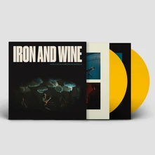 Iron & Wine, Vinyl WHO CAN SEE FOREVER