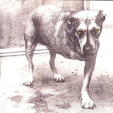 CD Alice In Chains