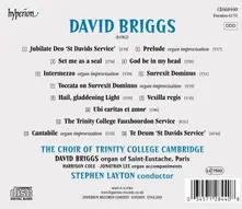 BRIGGS: HAIL GLADDENING LIGHT thumbnail