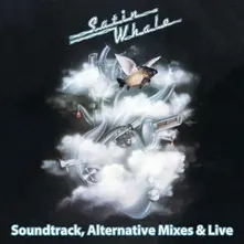 HISTORY BOX 2 - SOUNDTRACK, LIVE & ALTERNATIVE MIXES thumbnail